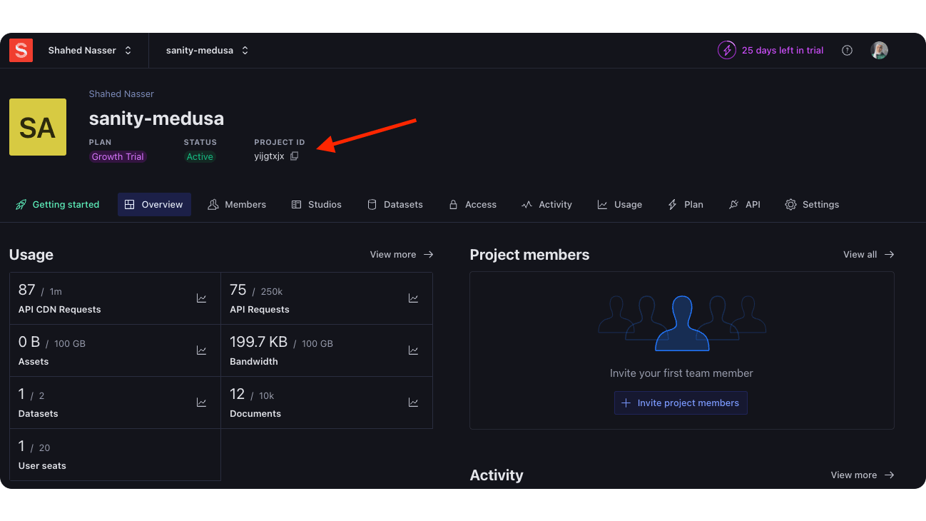 The project ID is in the top information of the project.