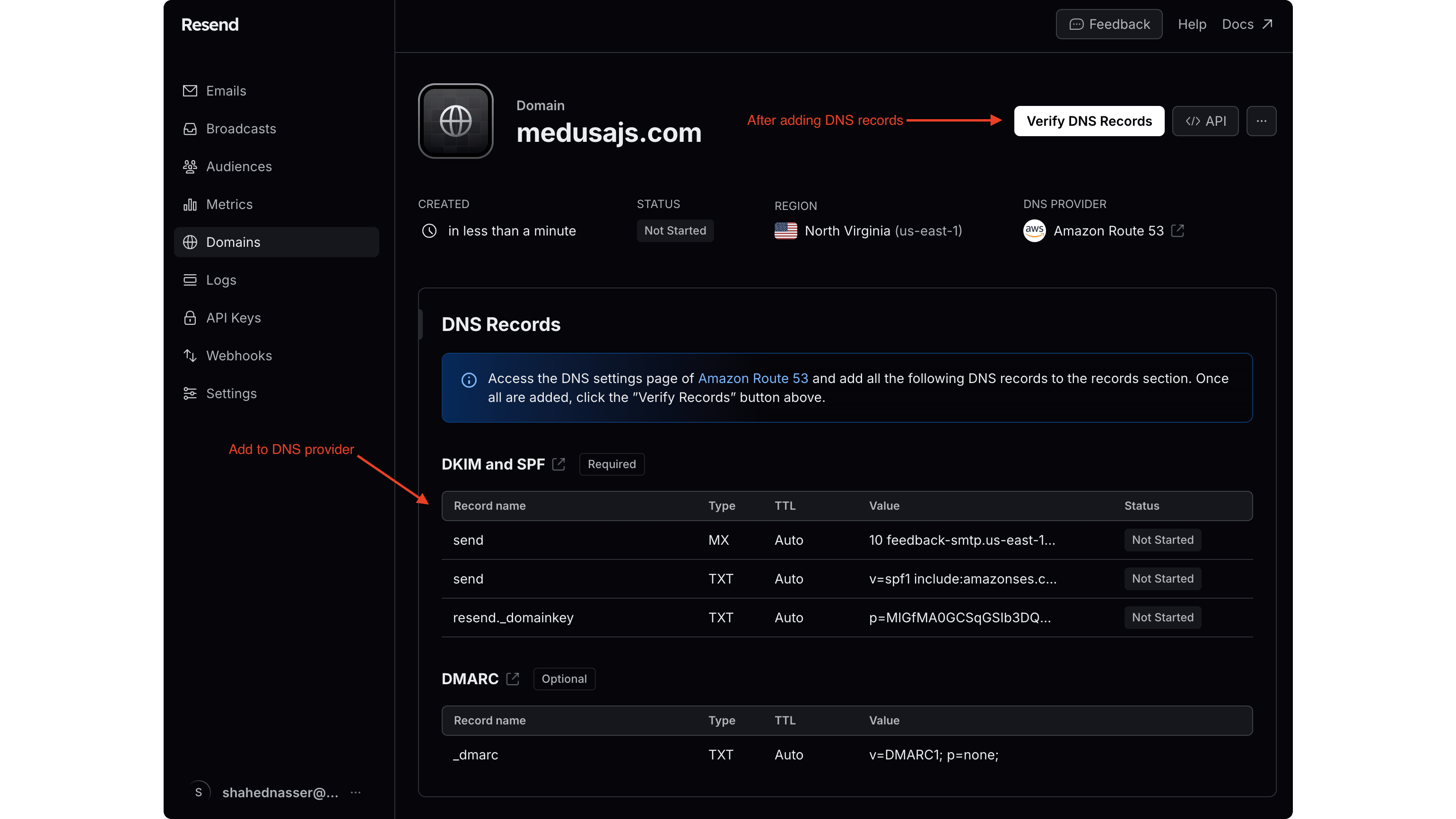 The DNS records to add are in a table under the DNS Records section. Once added, click the Verify DNS Records button at the top right.