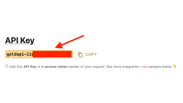 The access token is below the "API Token" header of your GoldAPI.io dashboard.
