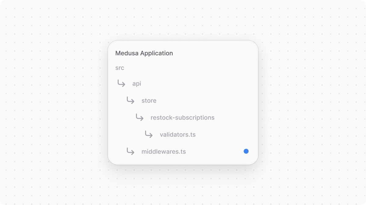 The directory structure of the Medusa application after adding the middlewares file.