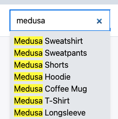 Search box in the header of the storefront
