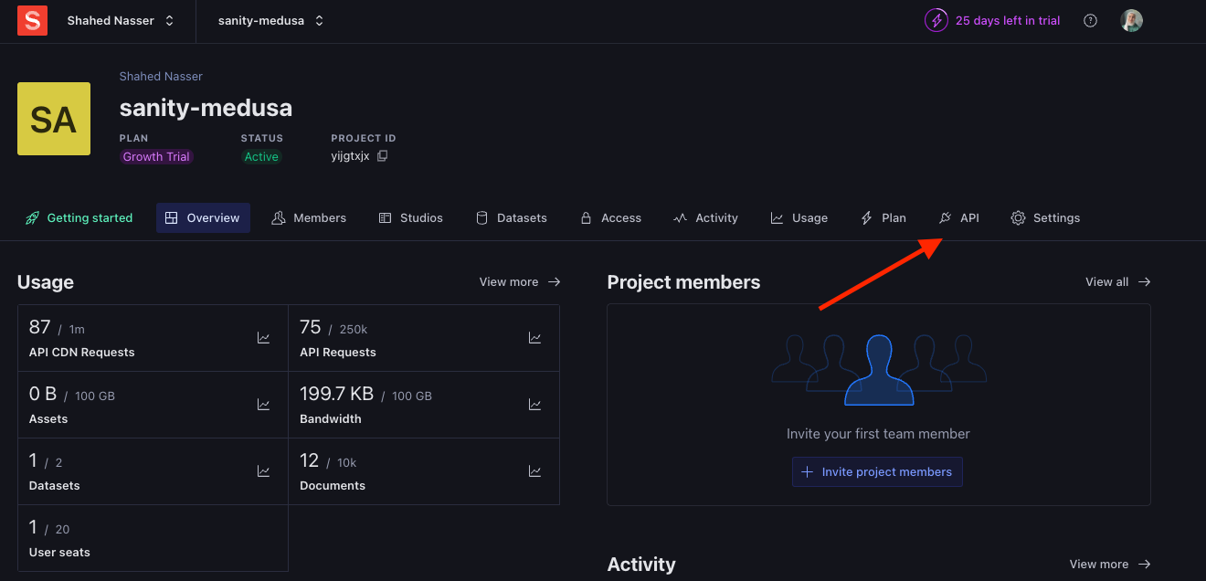 The API tab is at the top of the project dashboard next to Settings.