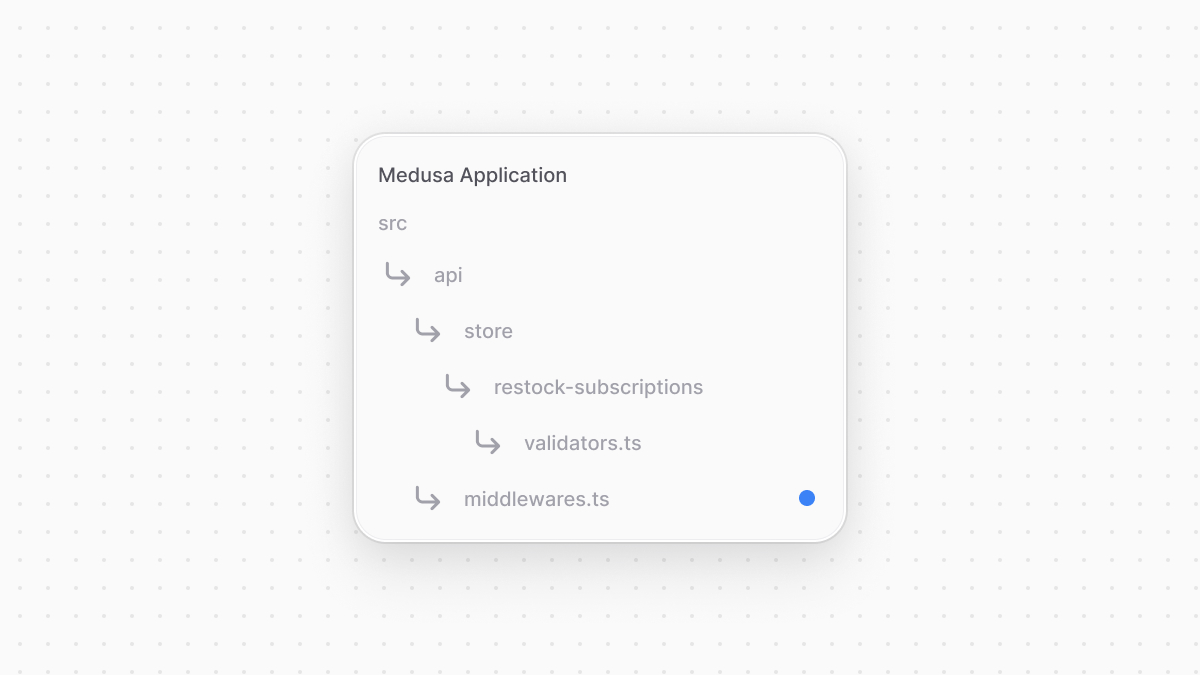 The directory structure of the Medusa application after adding the middlewares file.
