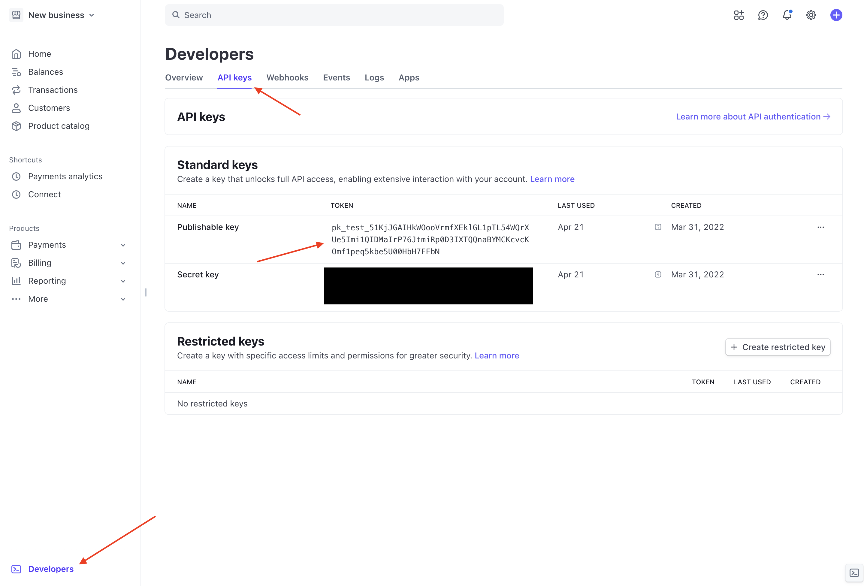 Secret API Key in the Stripe dashboard