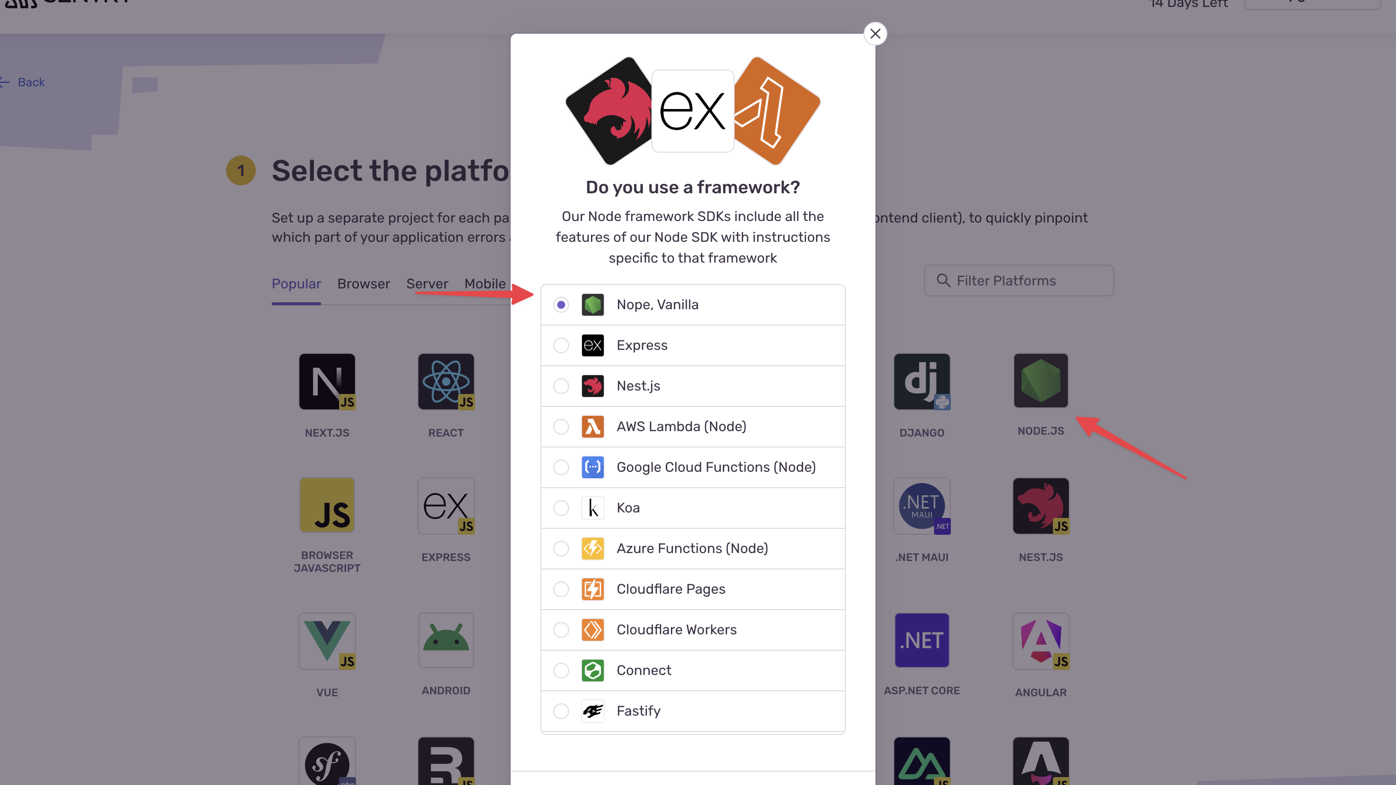Screenshot of the pop up with Node, Vanilla selected
