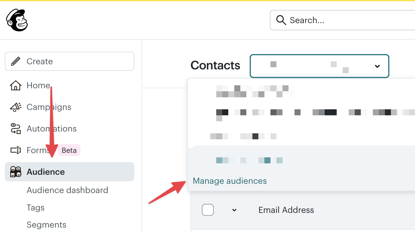 Mailchimp audience management page with the Manage Audiences option highlighted
