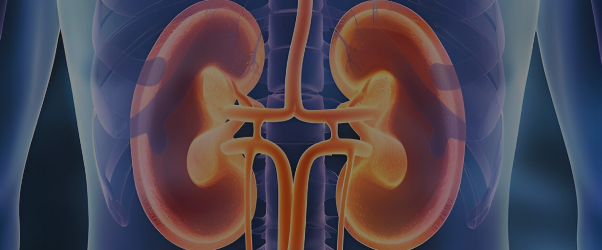 Renal artery stenosis treatment Mancherial