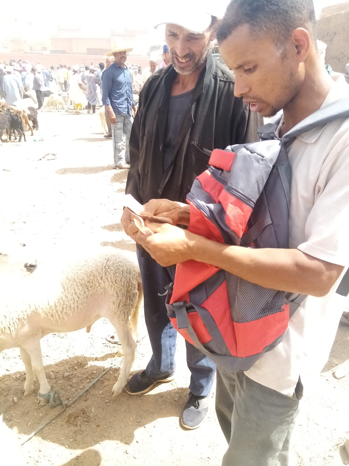 Aïd el Adha : Partageons la joie du sacrifice