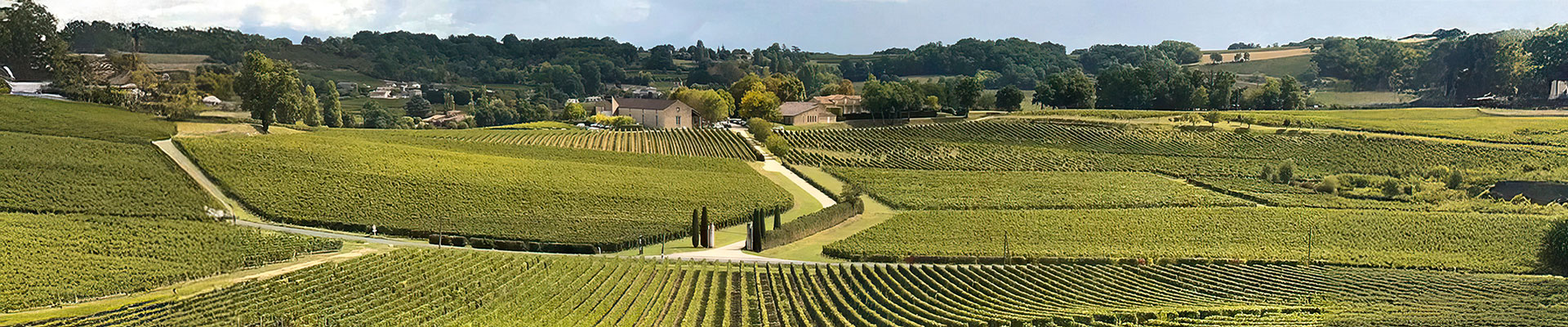 Vignobles Pradel de Lavaux