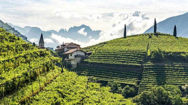 Alto Adige – Viên Ngọc Ẩn Mình Của Nước Ý
