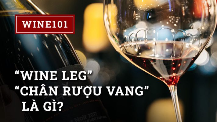 Các Khái Niệm Cơ Bản: “Wine Leg” – “Chân Rượu” Là Gì?
