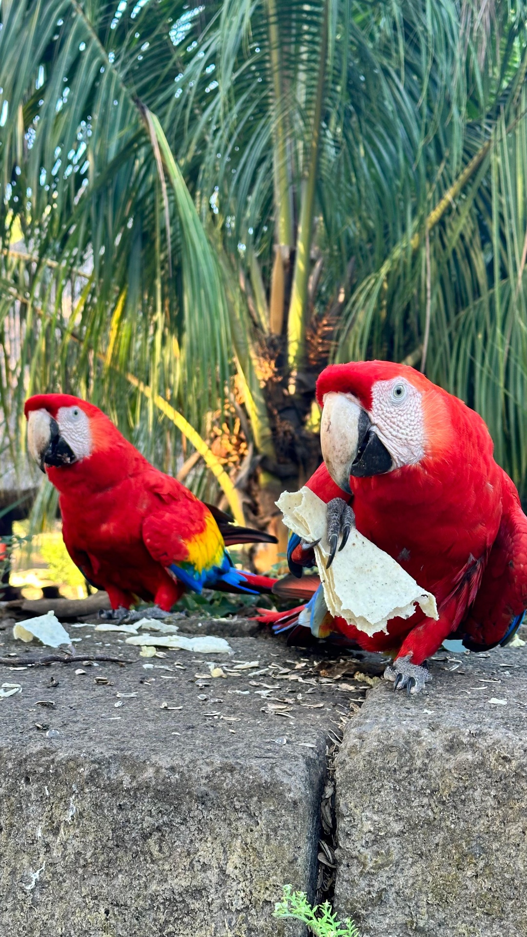 Nicaragua Paisaje
