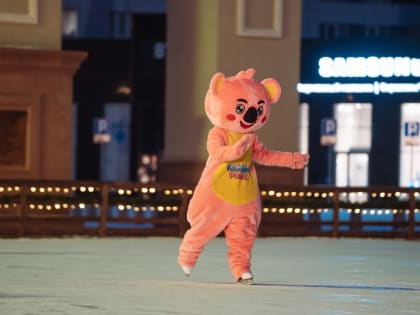 В Красноярске закрылся каток на площади Мира