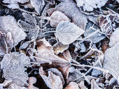 Скорое похолодание в Красноярске