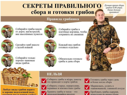 Секреты сбора и приготовления грибов