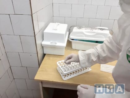 Неизвестная болезнь в Кадуна: три случая летального исхода