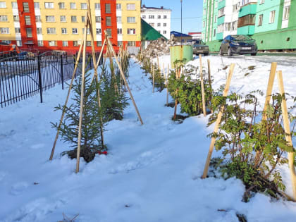 Дудинцев просят бережно относиться к природе