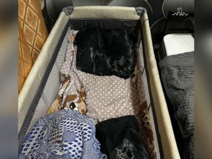 В Красноярском крае возбудили уголовное дело в связи с гибелью 3-месячного ребенка в селе Красная Сопка