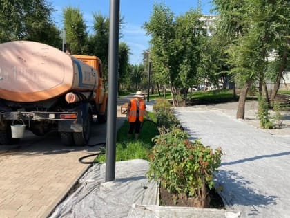 Власти Красноярска выделили 30 миллионов на полив кустов