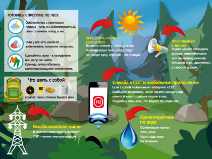 Правила поведения в лесу 30.06.2024г.