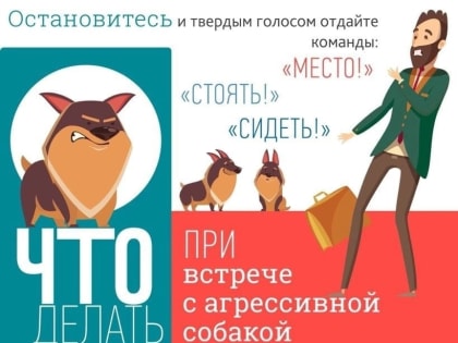 Что делать при встрече с агрессивной собакой.