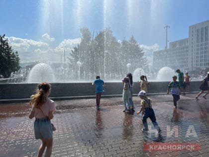 В России на федеральном уровне закрепят единый правовой статус многодетных семей