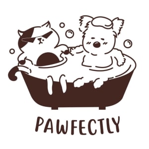 Pawsfectly Pet Grooming