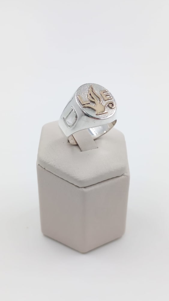 ANILLO DE PROFESIÓN CABALLERO