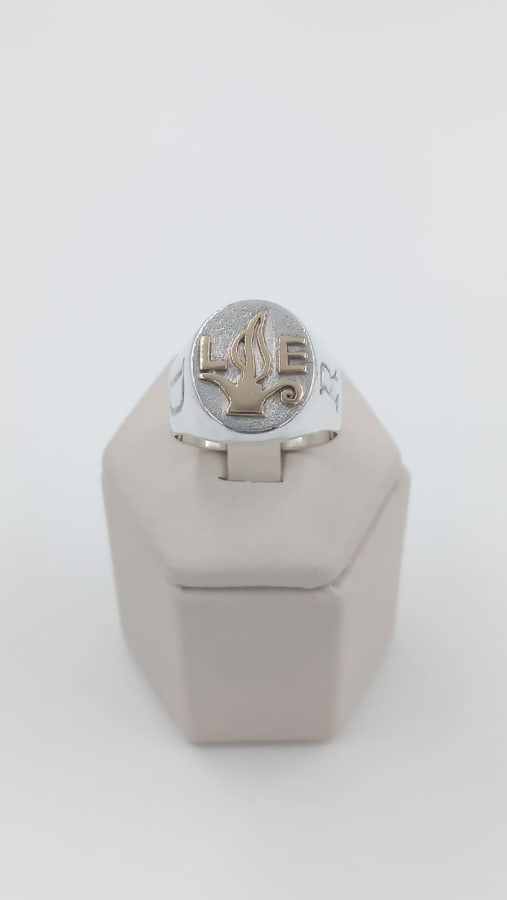 ANILLO DE PROFESIÓN CABALLERO