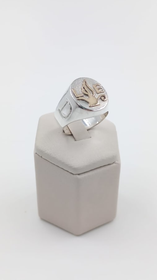 ANILLO DE PROFESIÓN CABALLERO