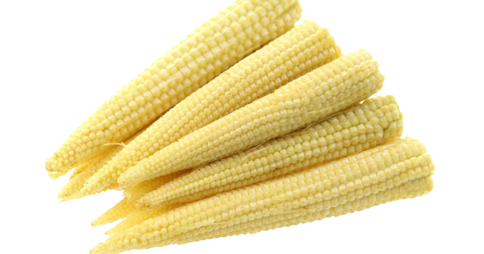 Baby Corn