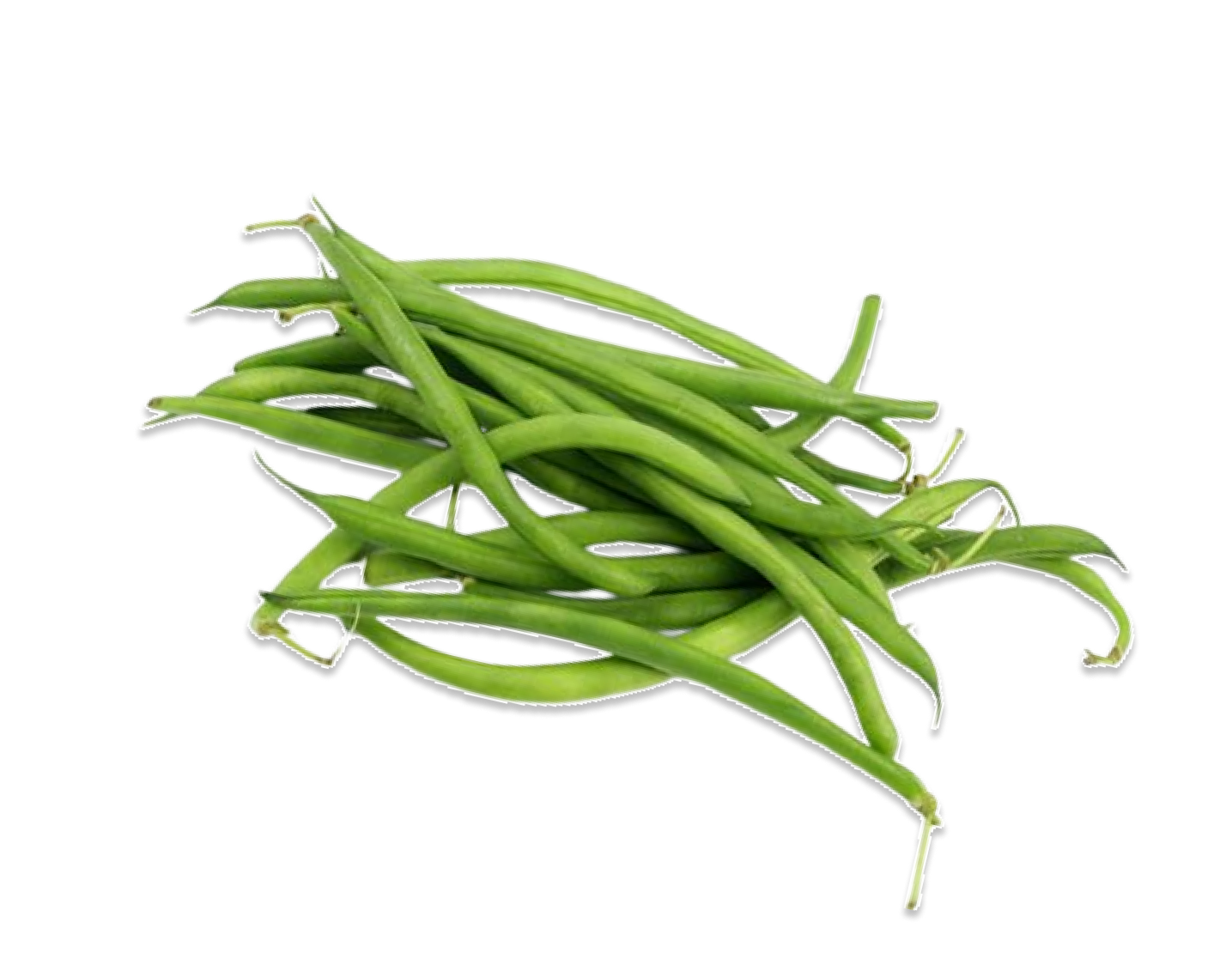 Fine Beans