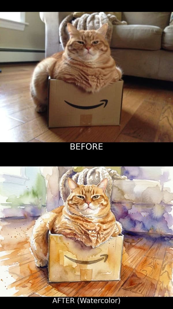 Toon It transformation showcase