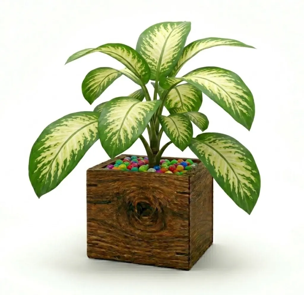 Dumb Cane