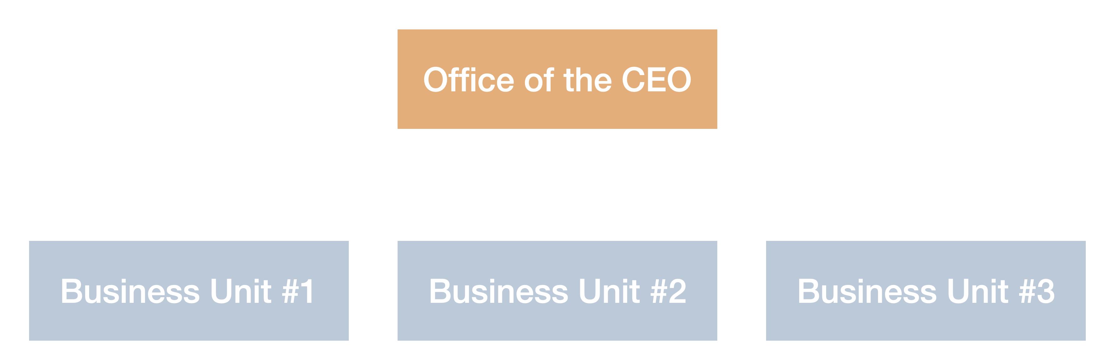 “organizational chart of a large software company with an office of the CEO & multiple business units”