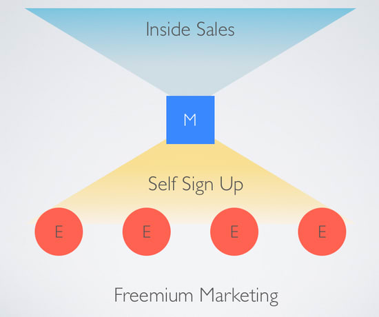 Crafting a Pricing Plan to Maximize Freemium Growth