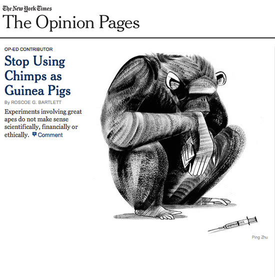 A Letter to the Editor