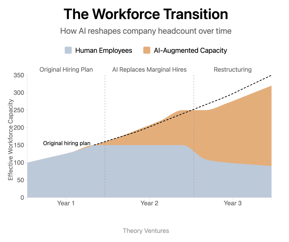The Workforce Transition - How AI reshapes company headcount over time