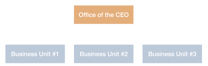 &ldquo;organizational chart of a large software company with an office of the CEO & multiple business units&rdquo;