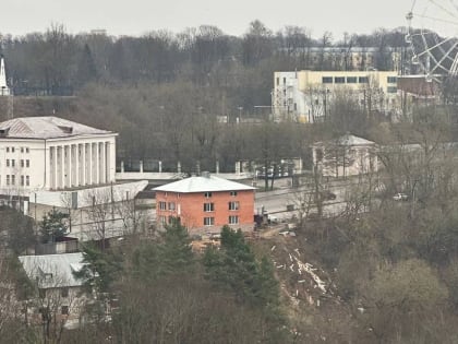 Смоляне обнаружили свалку в центре города