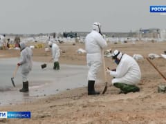 Волонтеры «Чистой Смоленщины» вернулись домой с побережья Черного моря