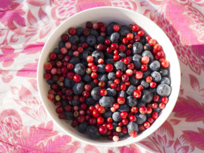 Врач из РФ Ирина Дворкина нашла нужным рассказать об опасных свойствах замороженных ягод для здоровья