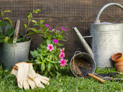 Компания «Монолит» раскрыла секрет успеха предпринимателям Смоленска