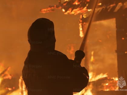 На пожаре в деревне Смоленского района погиб человек