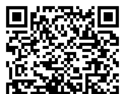 Культурный код. Подвижники. Иулиания и Симеон Вяземские