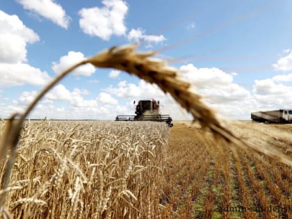 Уборка урожая в Смоленской области: результаты на 22 августа 2024 года