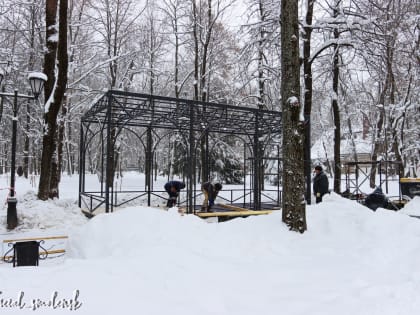 В центре Смоленска появится виртуальный книжный шкаф
