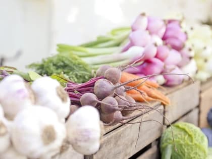 В Смоленской области появится селекционно-семеноводческий центр