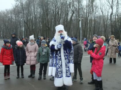 В Смоленске открыта главная новогодняя елка