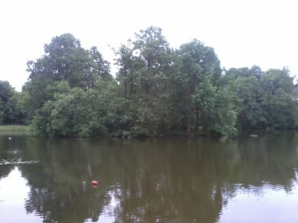 В Краснинском районе местные жители вытащили из озера труп мужчины